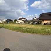 フォトギャラリー2